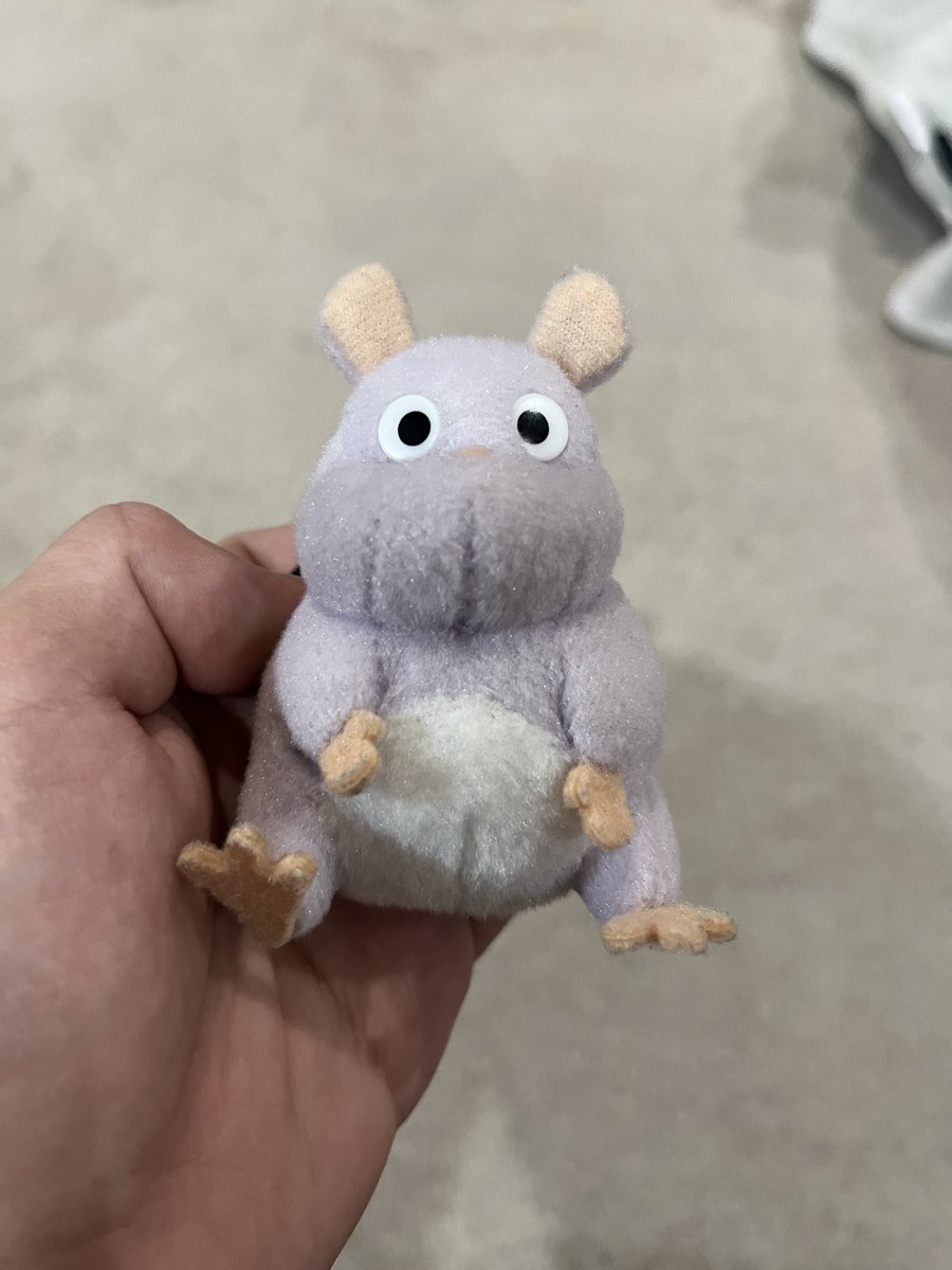 坊ネズミがかわいい これはうちの坊ネズミ