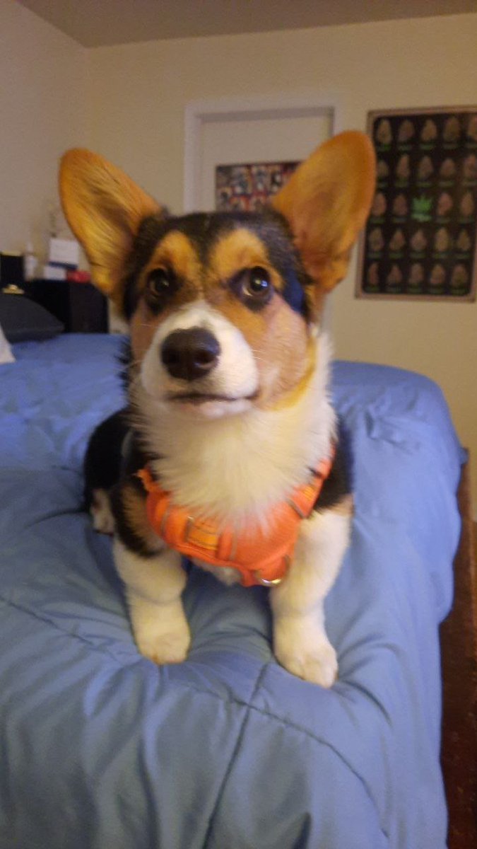 Ninja 💙 tweet media