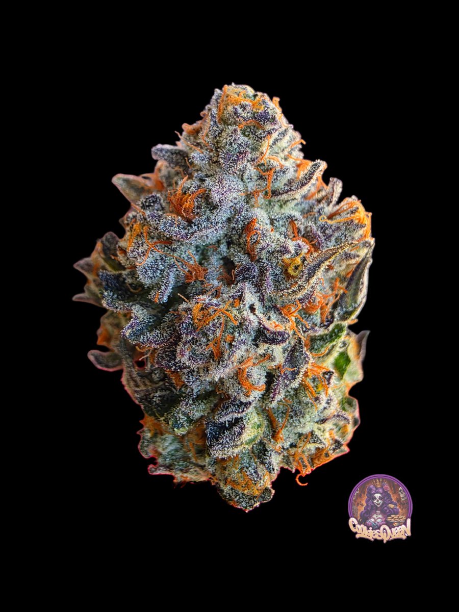 Happy Friday, woohoo! Here's a nice nug of the Blue Nerds for your day. Make someone smile! #CannabisCommunity #cannabisculture #StonerFam #Mmemberville #CannabisPhotography