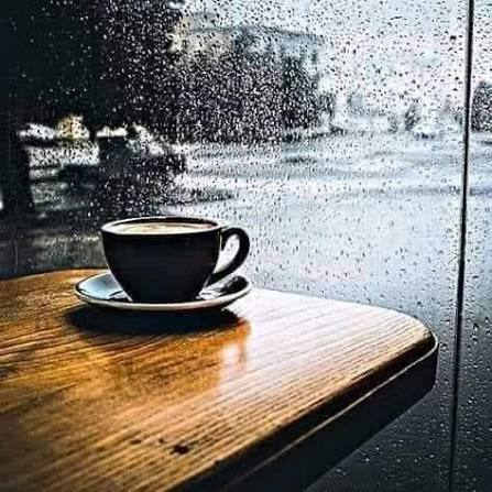 بالشتي بتبطّئ الحياة شوي وبالقهوة منلاقي حالنا☕️