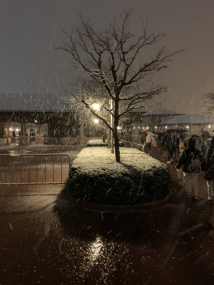qym9_f's tweet photo. 今日のディズニー大雪でエモすぎた🥹
もうこんなの初めてで楽しすぎて笑いが止まらず大雪の中大爆笑！笑
エルサの力が暴走しちゃったかな🥺 https://t.co/F55IQLtaw9