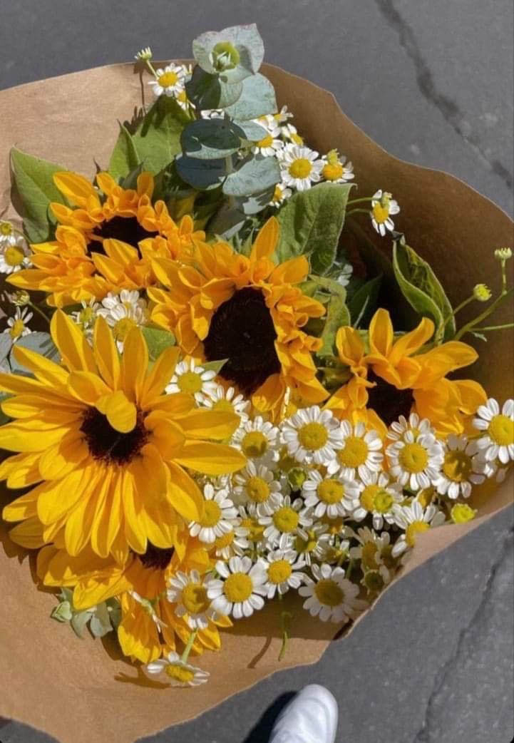 sunflowerchives's tweet image. First blooms of the year