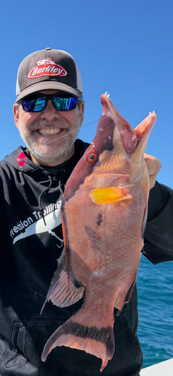 kkwalleye's tweet image. So far keeping my New Year's resolution - to fish more 😈 - Gag Groupers on Berkley Fishing 1 Oz Blue Bucktail Jig, Hogfish on FishDaddy Dirty Bombs flashing red👍 

#MercuryPartner #berkleyfishing #Fishdaddy #DirtyBomb #saltwaterfishing #saltlife #gulfofamerica #fishing #deepsea