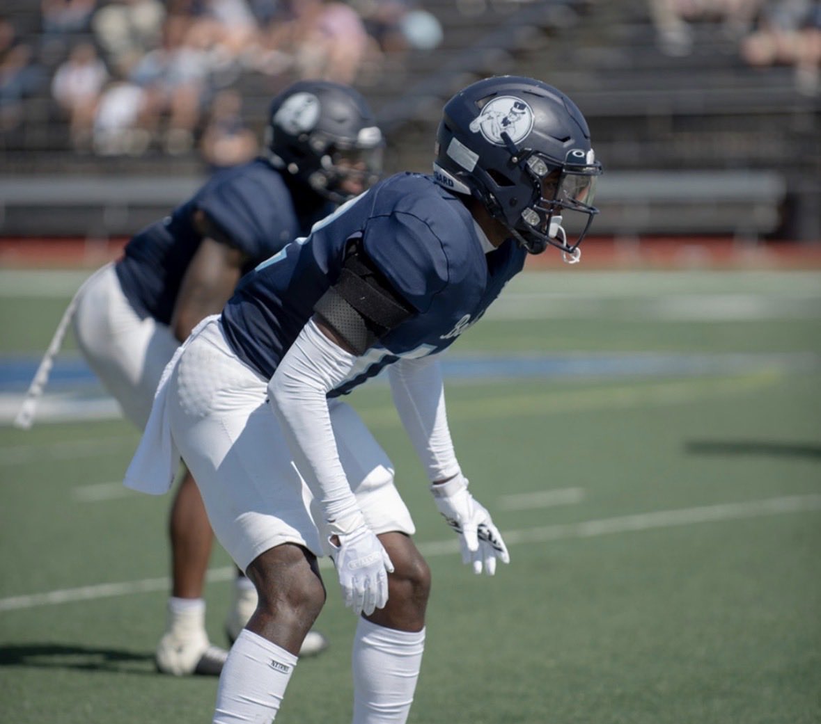 Jarvis Harrod tweet media