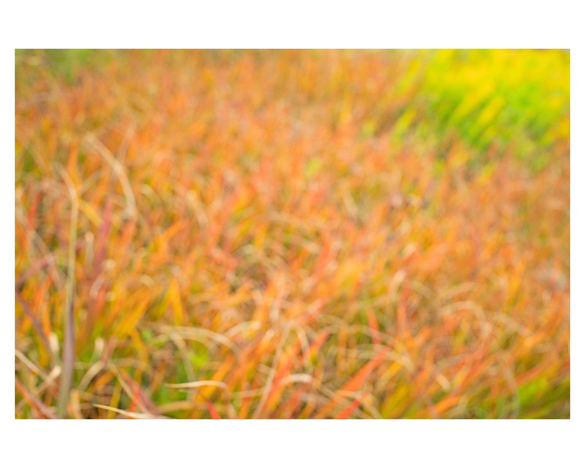 気持ち #写真好きな人と繋がりたい