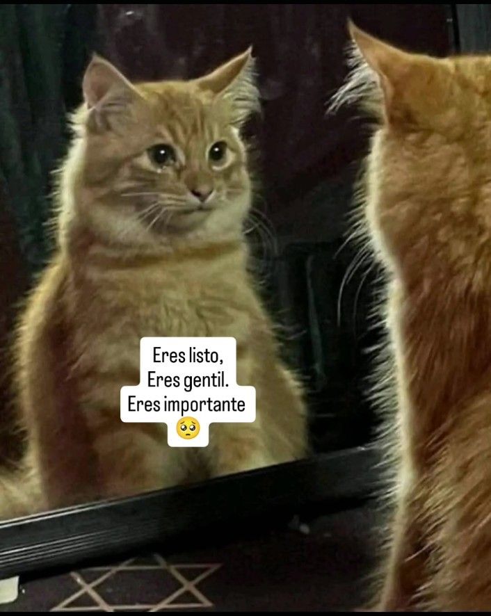 Escrito Ideal (@escrito_ideal) on Twitter photo 