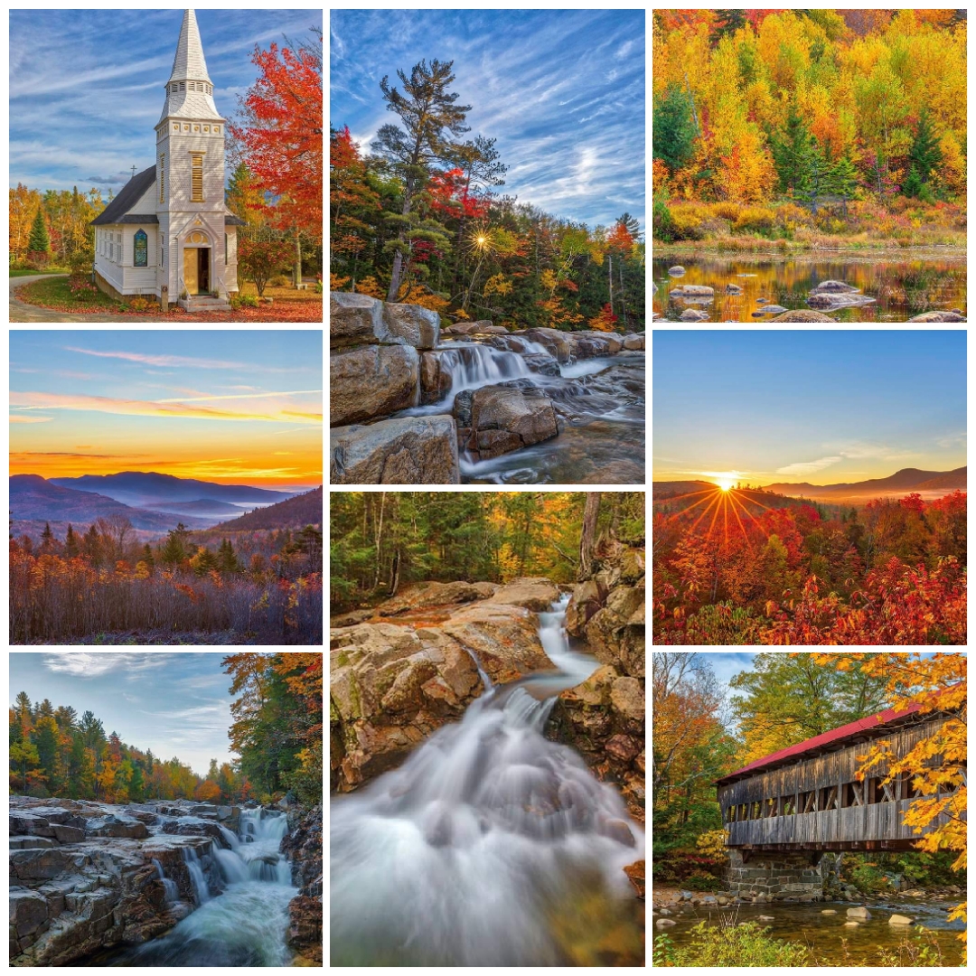 RothGalleries's tweet image. When you put pictures on the walls, you see the greatest change in place. - Rita Konig