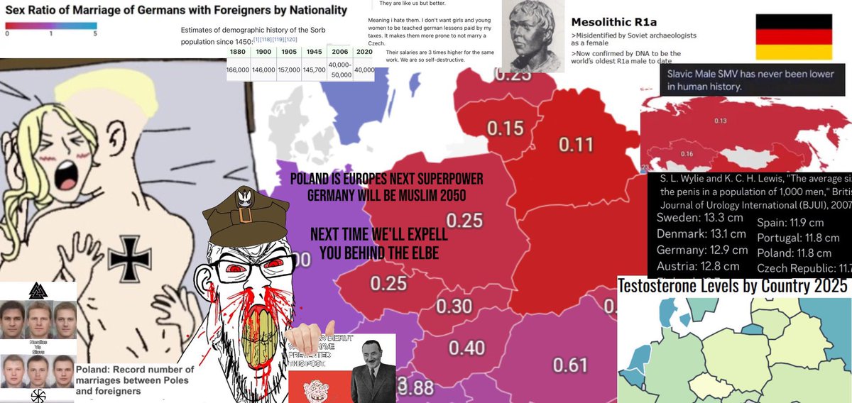 SlavRapist's tweet image. Ultrainstinctheinzguderian image stimboard 👀