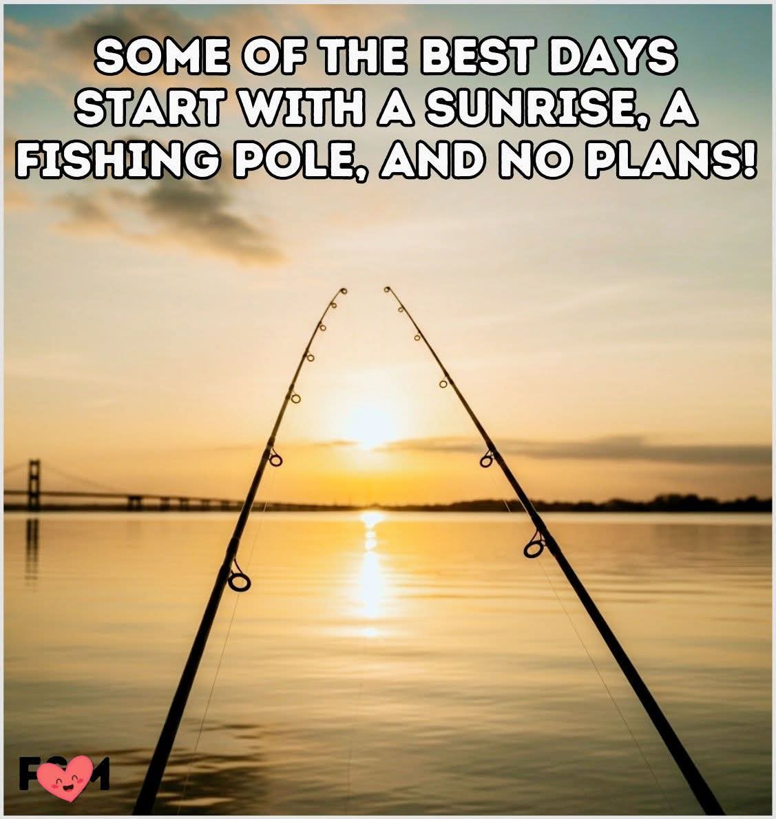 Fishreaper (@fishreaperwayne) on Twitter photo 