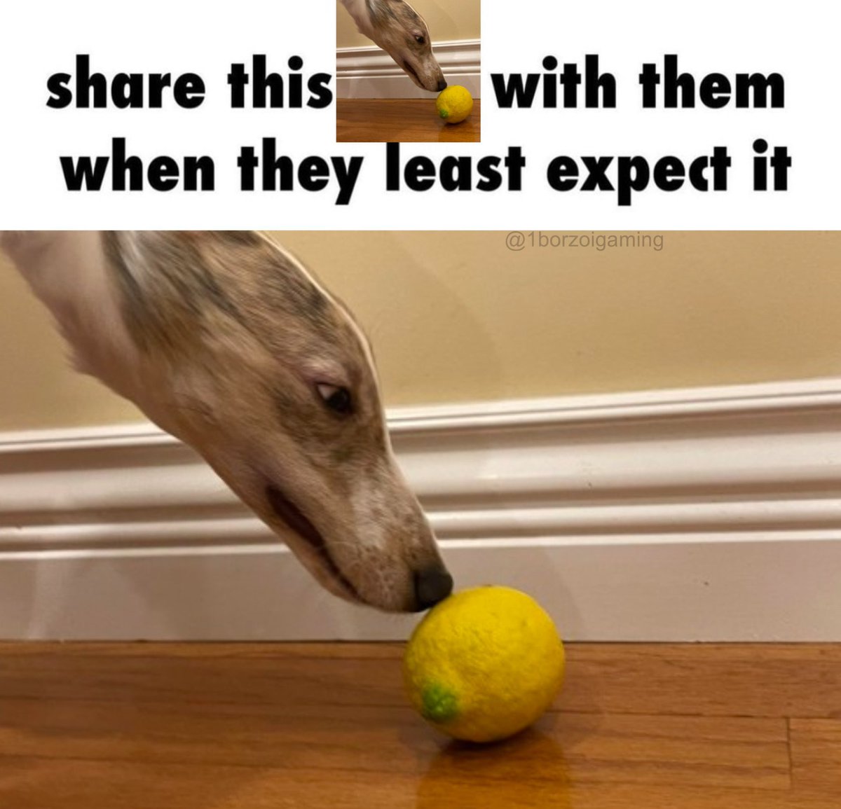 grofmoder23's tweet image. Kinda lucky that I barely had ANY psychosis in my entire life. With this mess of a life and a brain I'd probably go insane from all the connections between things. Now my brain did something and blocked any even super mild superstitions, it's giga stable now. Complete clarity.