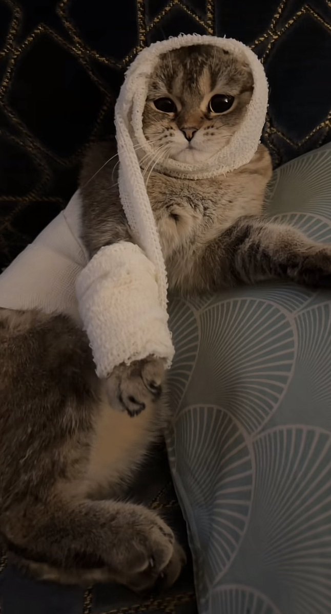 فُ. (@f_llllm) on Twitter photo 