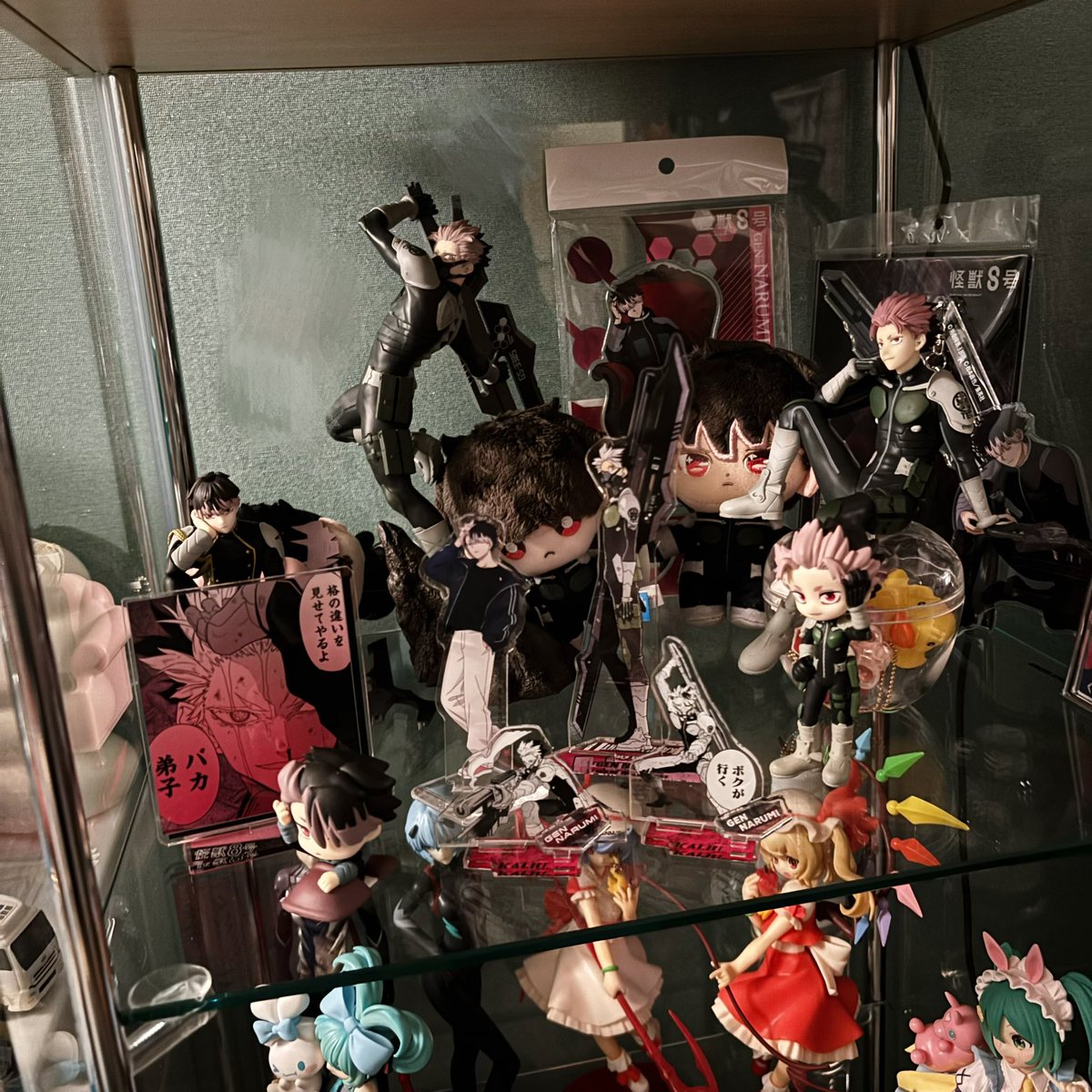 全然綺麗に並べれてない(寝てるなʓ みもいる)けど可愛いから見てください