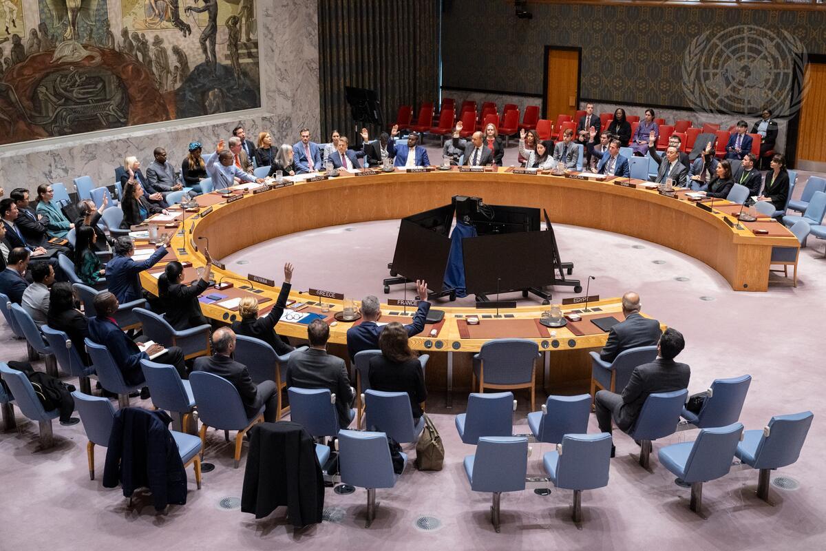 United Nations Peacebuilding and Peace Support tweet media