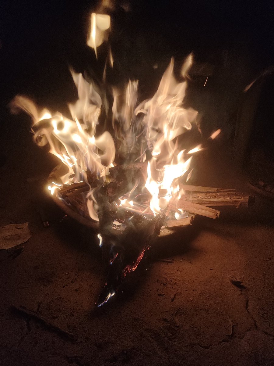 ItismitaCodes03's tweet image. #Bonfire 🔥