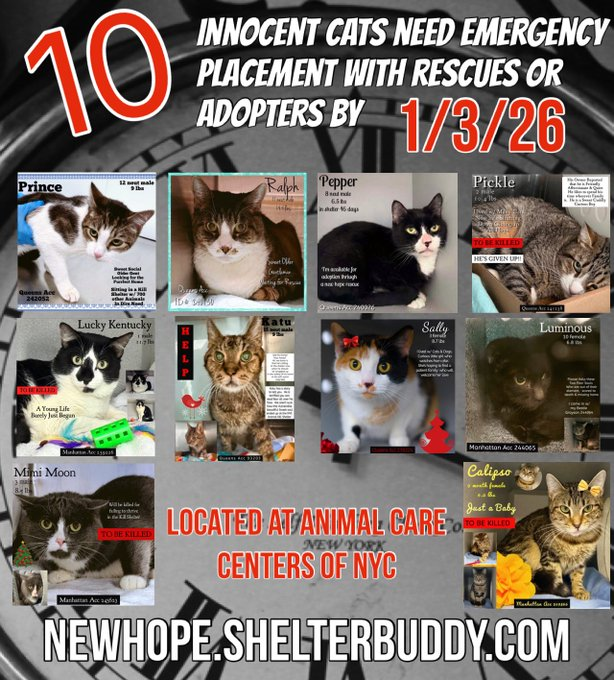 Jack5928 tweet media