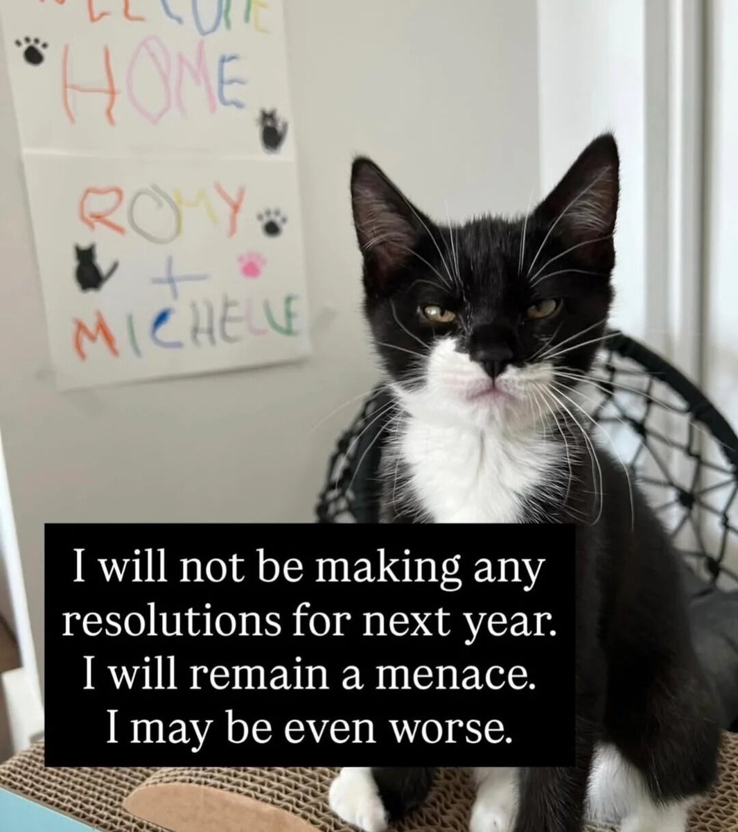 WholesomeMeme's tweet image. 