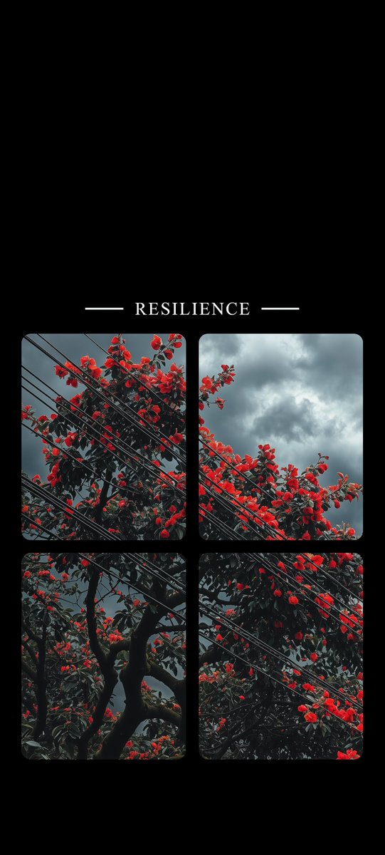 -Resilience