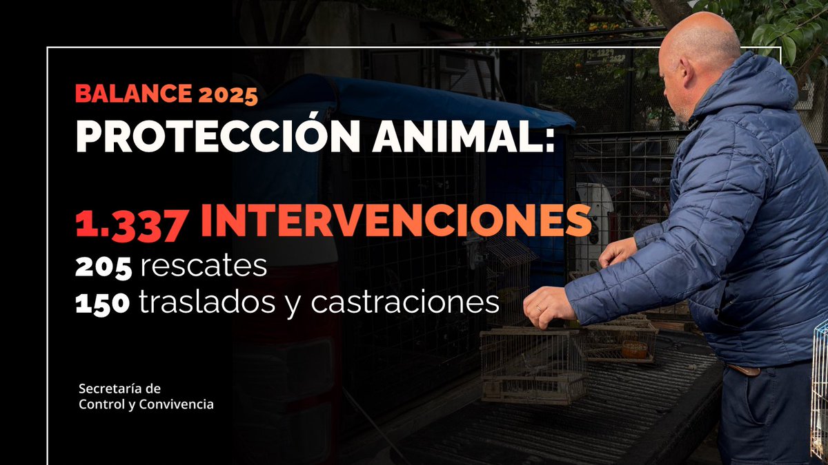 BALANCE 2025: PROTECCIÓN ANIMAL 
Durante 2025, la Oficina de Protección Animal intervino en 1.337 situaciones de maltrato y concretó 205 rescates, casi triplicando las actuaciones del año anterior.
Un trabajo sostenido que reafirma el compromiso con el cuidado y protección animal
