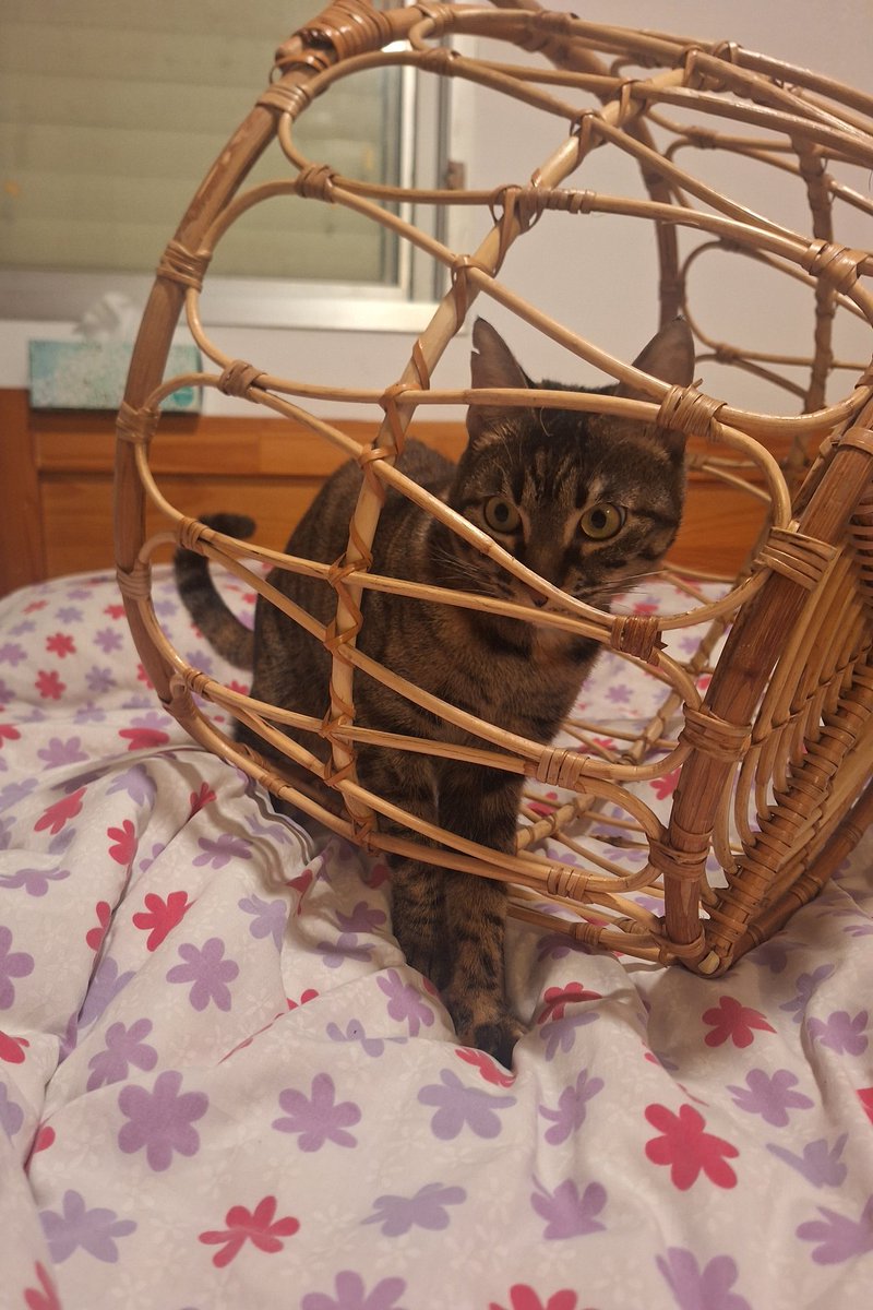 Free my girl she did nothing wrong