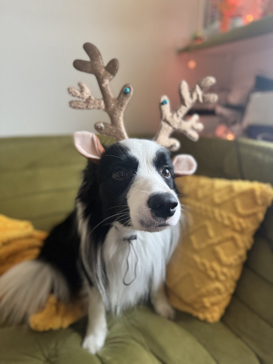 Polina Kananykina tweet media