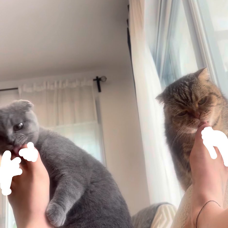 😇😇😇❤️❤️❤️❤️❤️