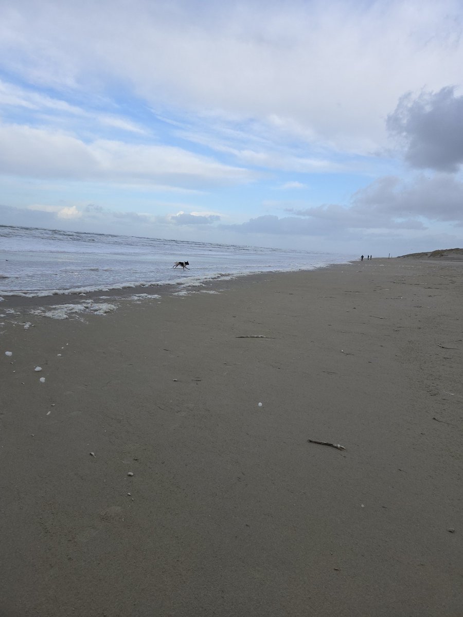 Tom.tries.to.run (@tomteselle) on Twitter photo 