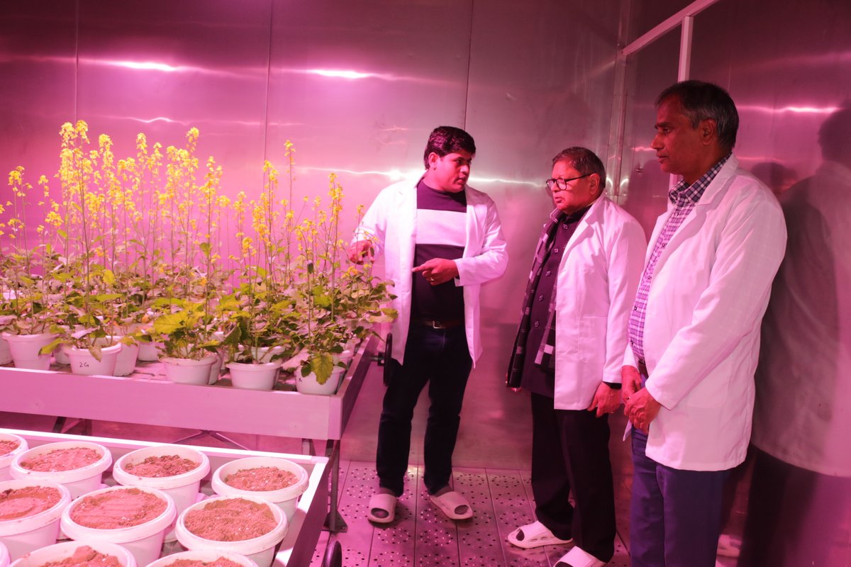 icardrmr's tweet image. ICAR–IIRMR, Bharatpur commenced a 21-day Winter School on “New-age Strategies for Enhancing Oilseed-Brassica Production in India” (Jan 2–22, 2026).Today, the inaugural function was graced by Padma Shri Dr. Arvind Kumar, founder VC, RLBCAU and former DDG (Edu), ICAR as Chief Guest