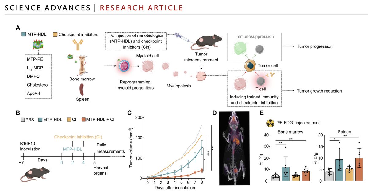 MulderLab tweet media