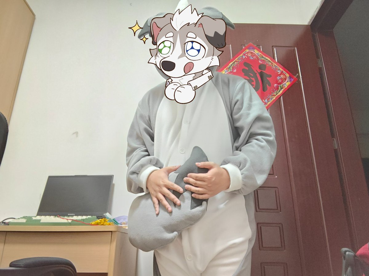 mayor87981955's tweet photo. 披着狗皮的人🐶 https://t.co/KEBf97CEBx
