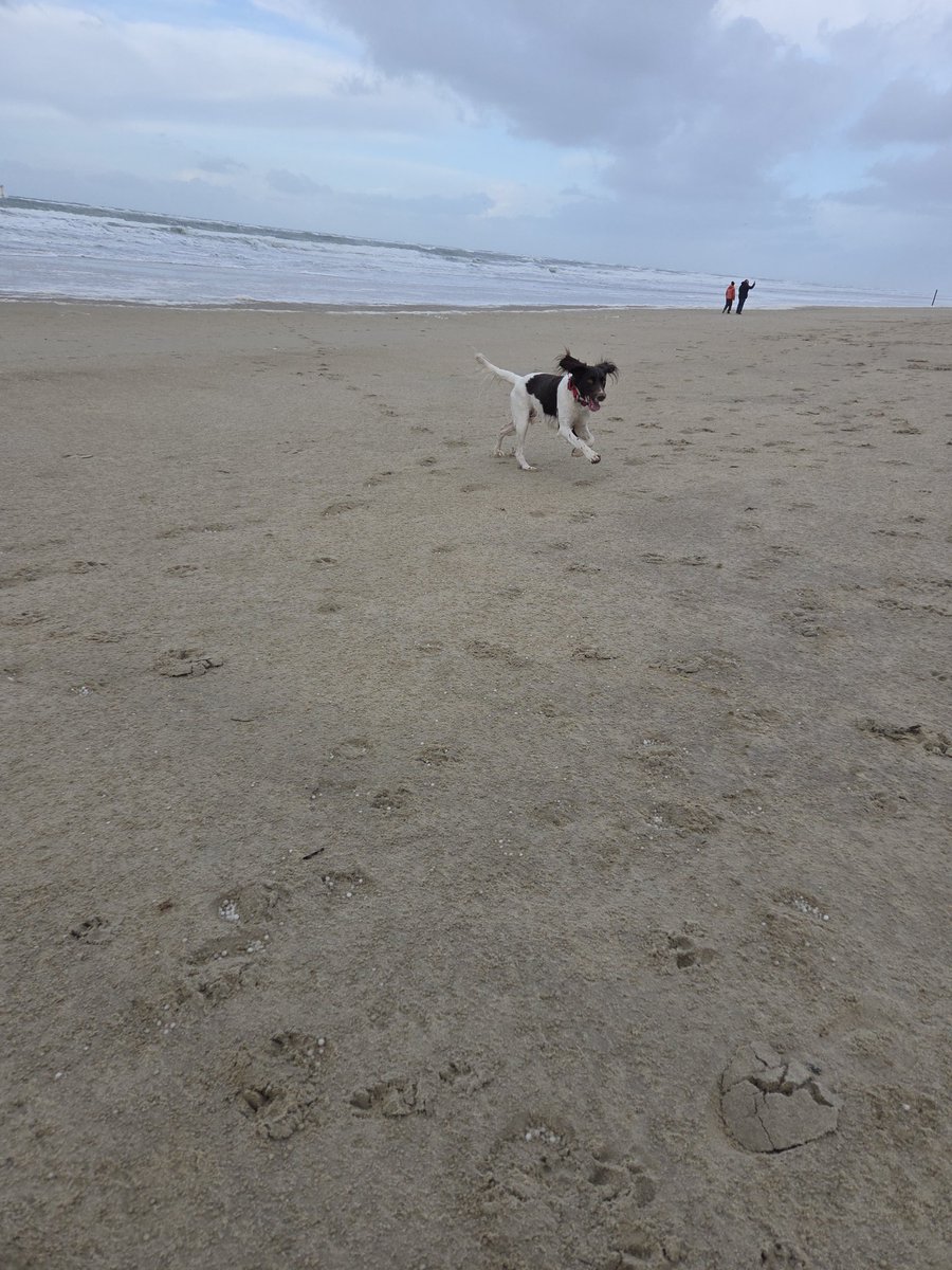 Tom.tries.to.run (@tomteselle) on Twitter photo 