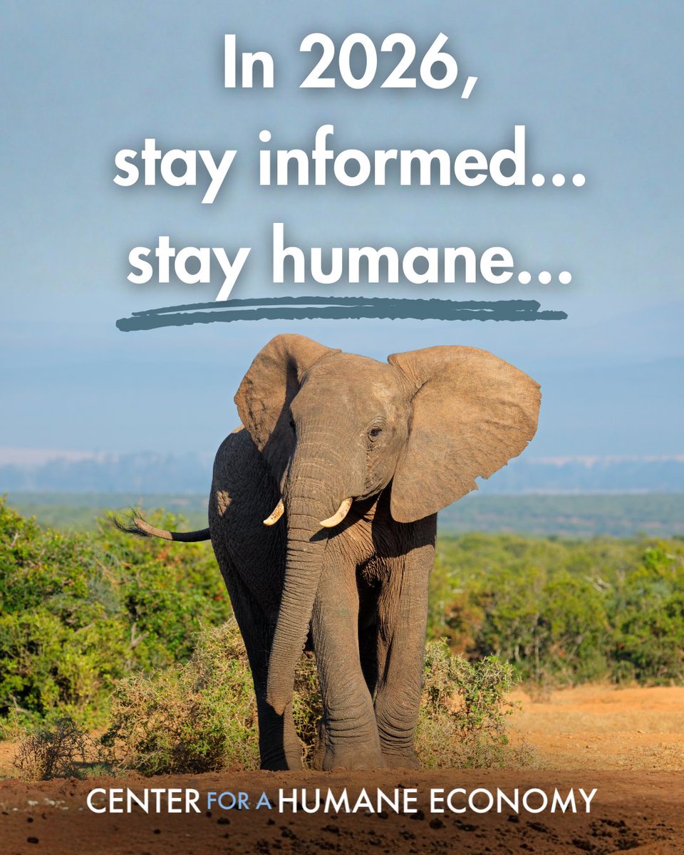 Center for a Humane Economy tweet media