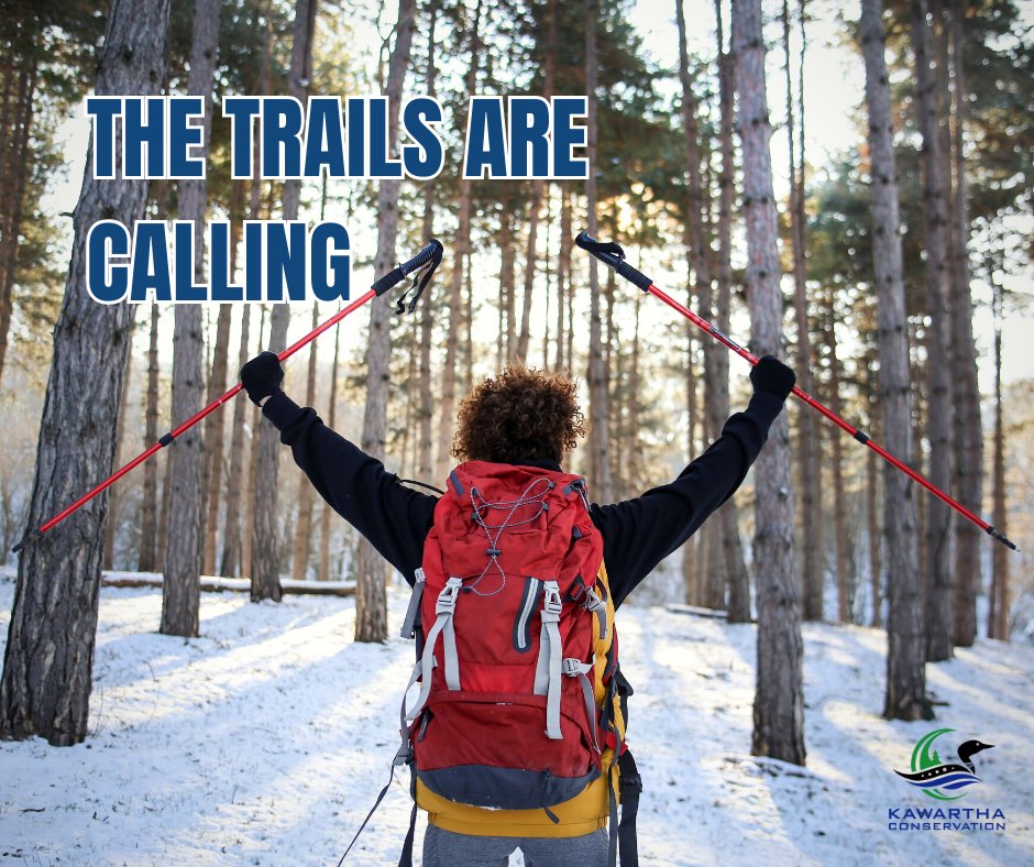 KawarthaConserv's tweet image. Turkey settled? Holiday bustle slowing down? It is the perfect time to get outside.
Fresh air, quiet trails, and a winter walk can be the reset we all need between holidays. Our conservation areas are open year-round.

#GetOutside #WinterWalk #FreshAir #ExploreLocal