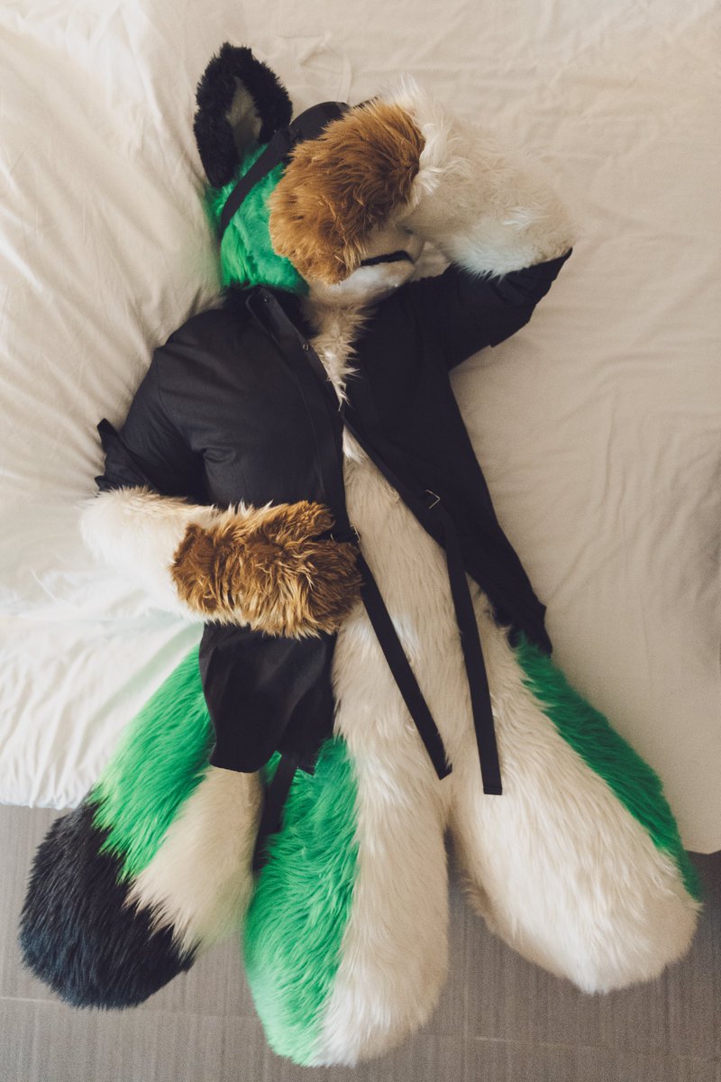 洛伊德（ロイド）｜迪亞狼（ディアル）→ 停止更新 tweet media