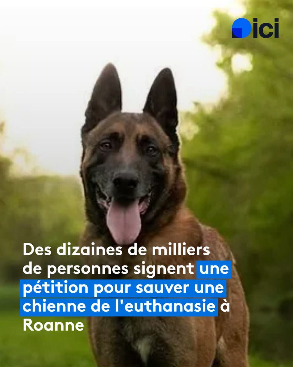 AdeaClaude's tweet image. HONTE au maire de Roanne 🤮🤮🤮

Mais la justice donne raison à Yves Nicolin, le maire de Roanne ➡️ l.ici.fr/dM7