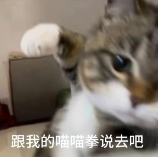 yeti68181's tweet image. *意义不明的并列*