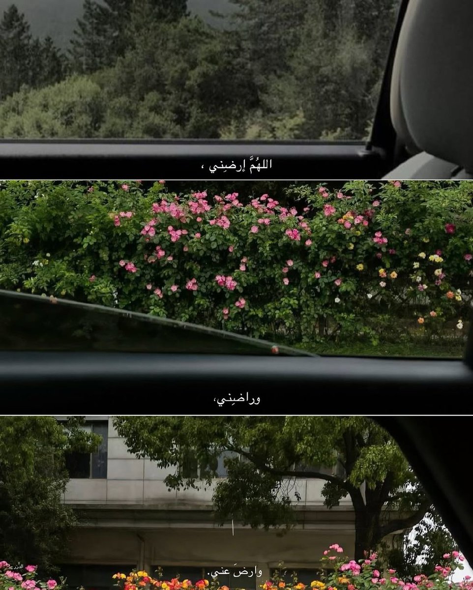 علم ينتفع به (@ile2ss) on Twitter photo 