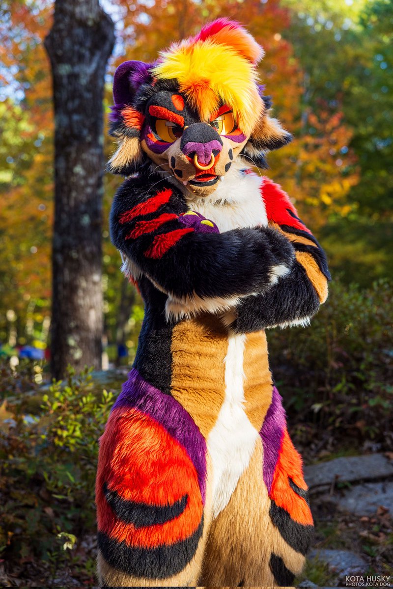 happy #FursuitFriday! i'm missing fall rn, it's too cold 🥶

🧵: <a href="/sheenitude/">Sheenitude</a>
📸: <a href="/KotaHusky/">Kota</a>