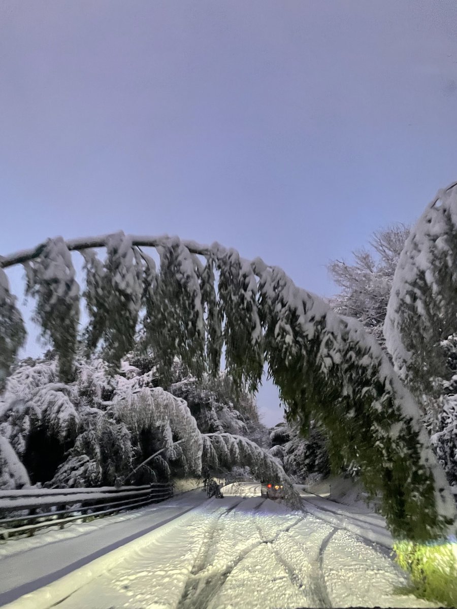 年始、出雲大社行ってきたけど
特に今年はヤバかった
30分そこらで雪積もり始めて
各地通行止め規制…なんとか自宅帰れたから良かったけど
広島近辺の渋滞、規制ヤバ過ぎて
巻き込まれた人は気の毒🤢
何台も見たけどいや、本当ノーマルタイヤで雪道走るな🤢