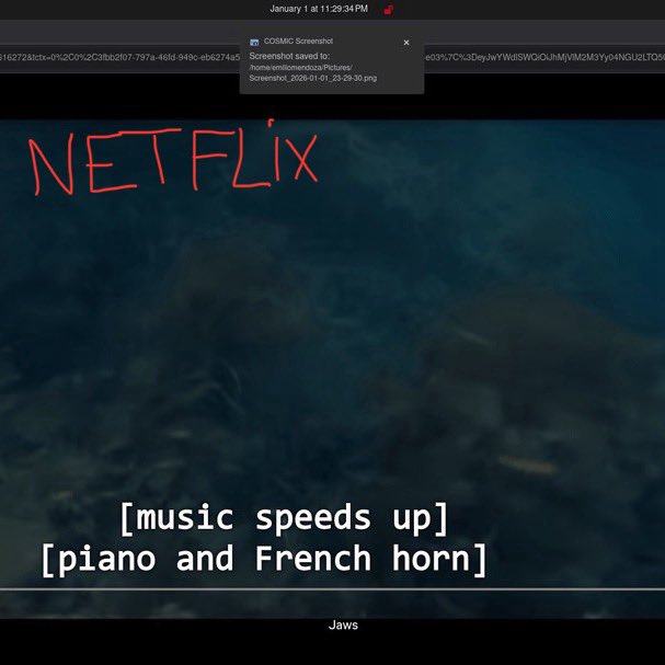Vu sur Reddit :

Netflx, tu paies 15 balles par mois (180€ par an) pour avoir du 540p digne de YouTube 2010, c’est une folie

Le mec a screen le même film sur Plex à côté, en 1080p pour de vrai, c’est flagrant