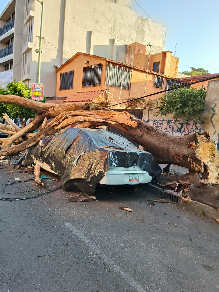 Continúa la revisión en las 16 alcaldías por el sismo de esta mañana.

Se registró un conato de incendio por una subestación eléctrica en Artículo 123, atendido por <a href="/Bomberos_CDMX/">Bomberos Ciudad de México Oficial</a>.

En la alcaldía Benito Juárez tenemos reportados dos incidentes: la caída de un árbol y de un