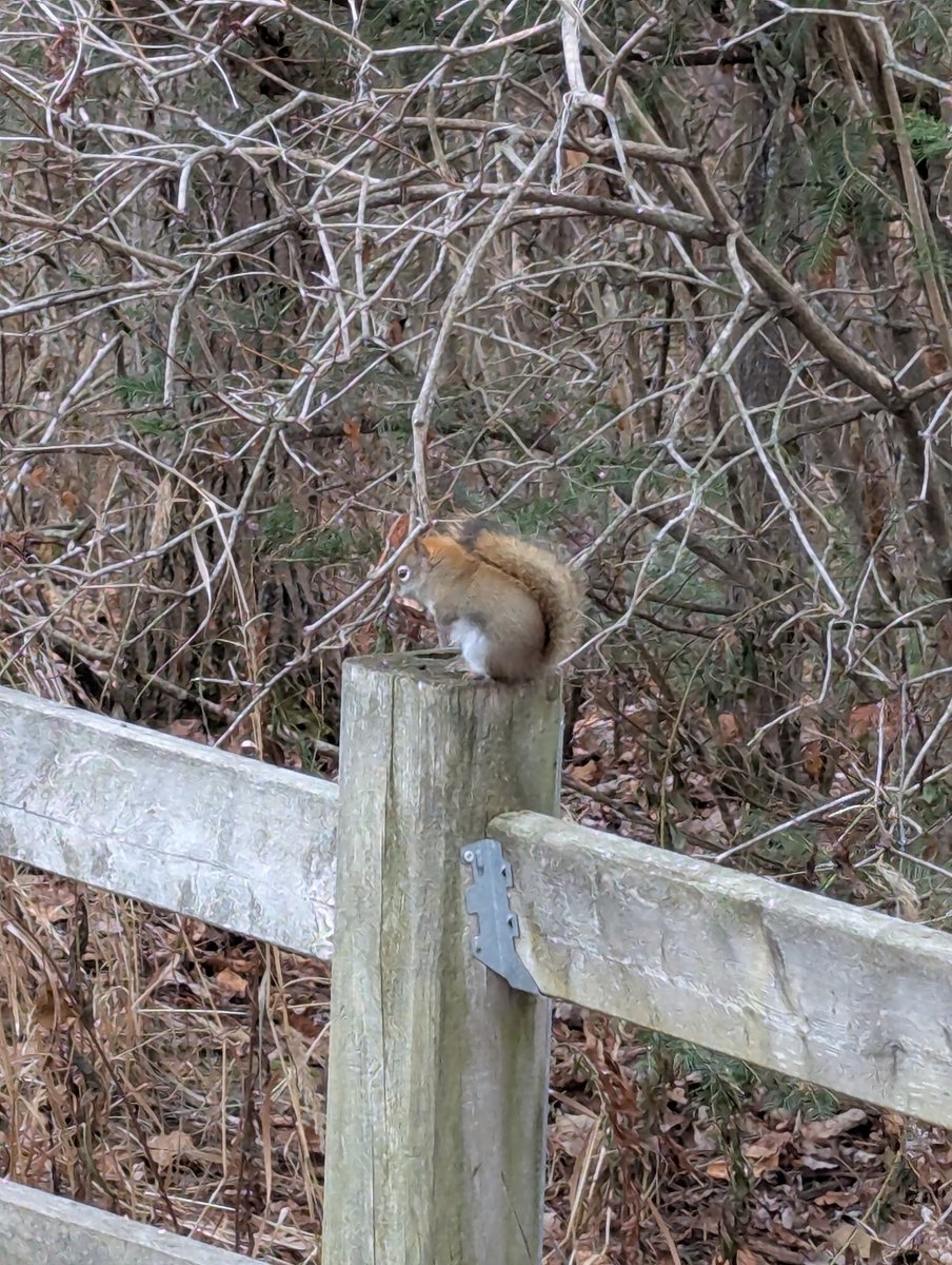 Grampa1950's tweet image. Happy #FencePostFriday…
make it a fantastic finish to the week you all 
QP or Share yours