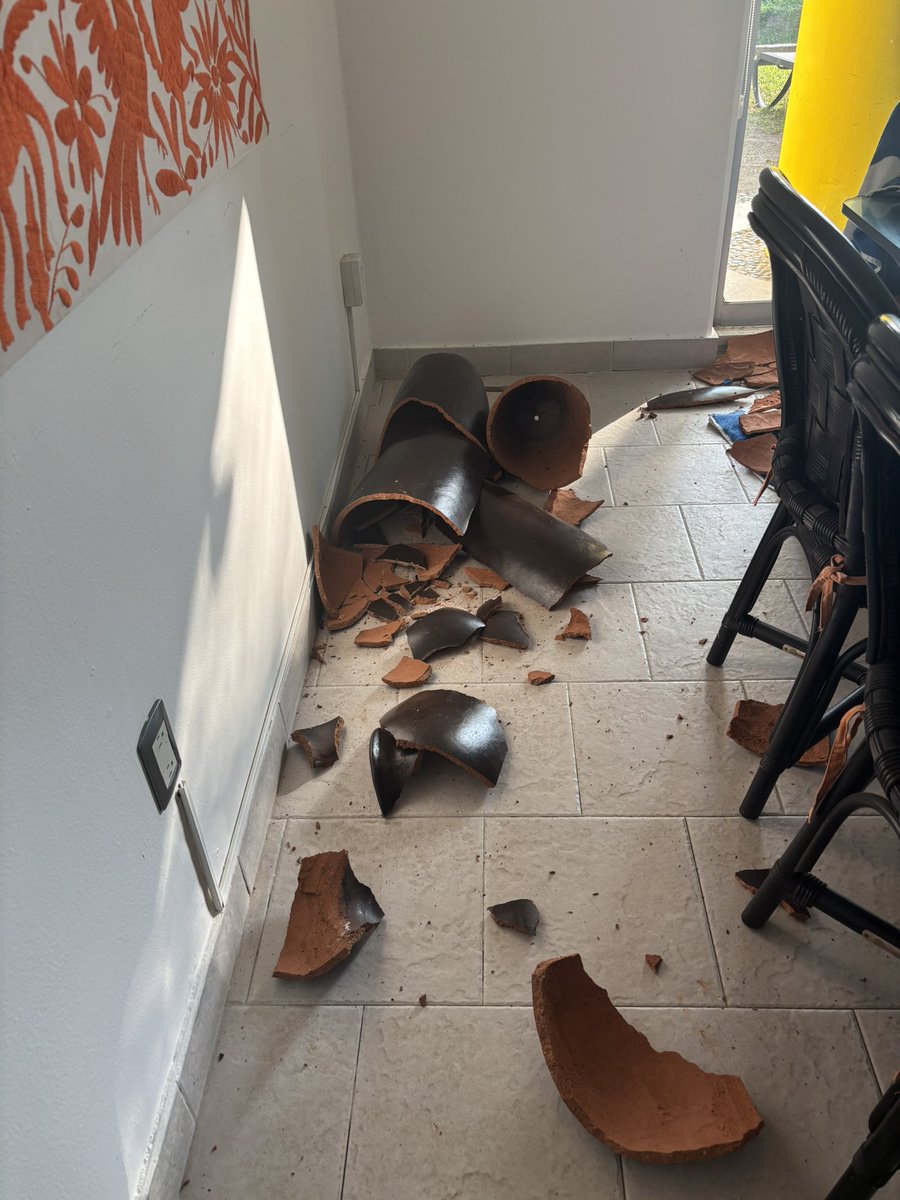 Claudia de Buen Unna tweet media