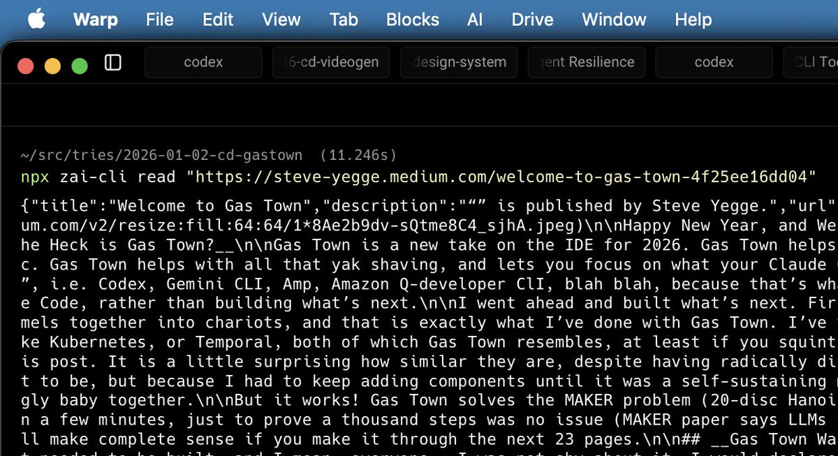 zai-cli Medium json output