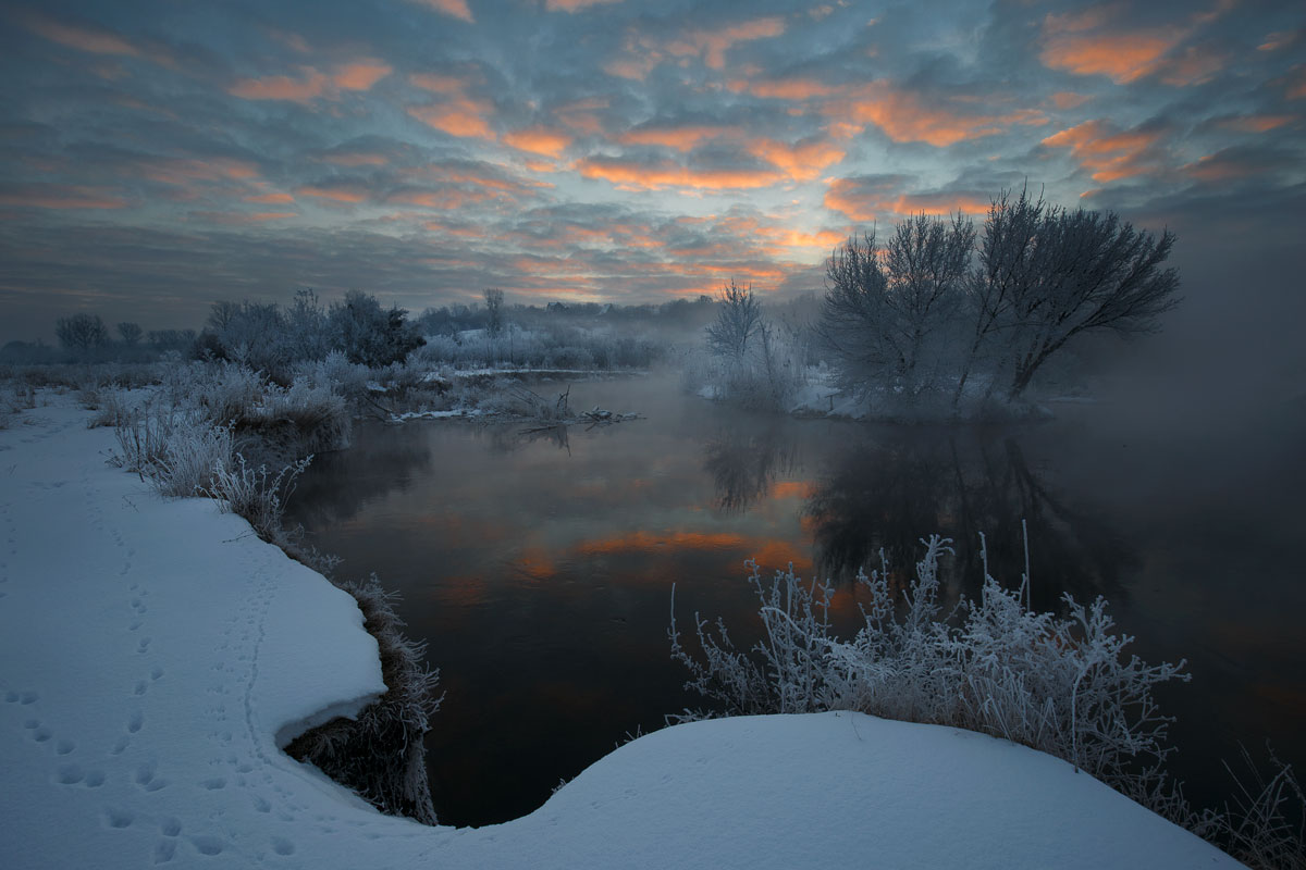 BelousFimy's tweet image. 