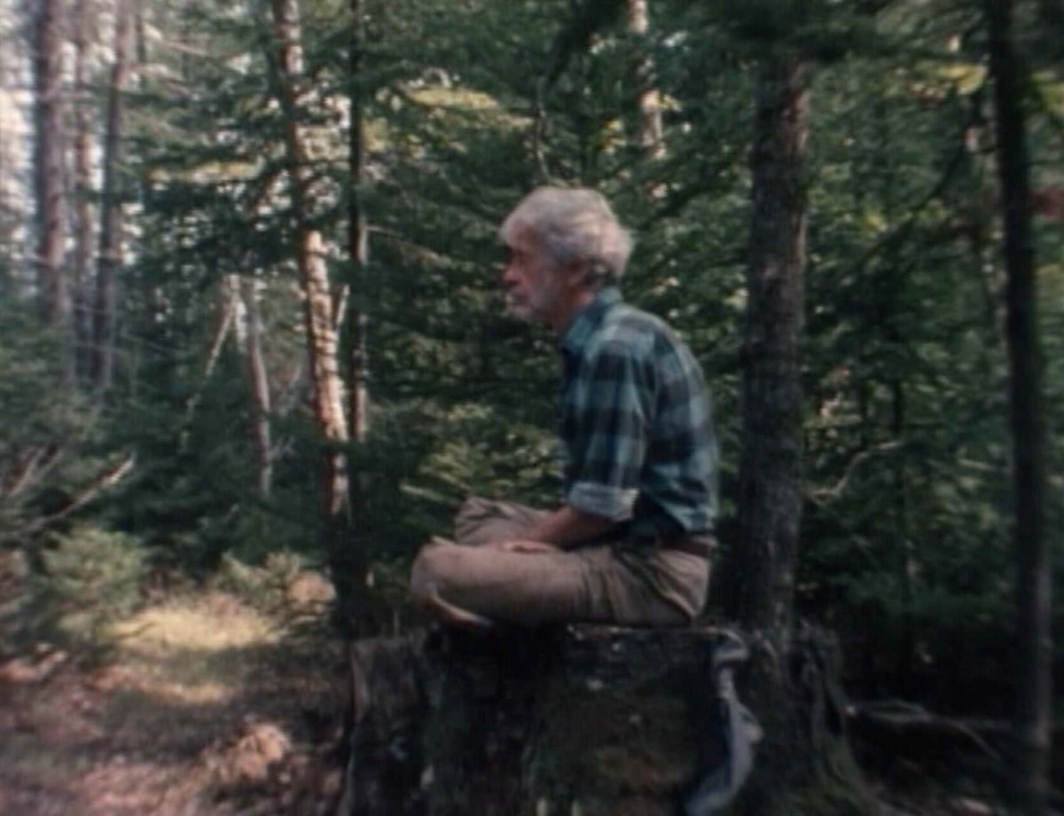 Lumière tweet media