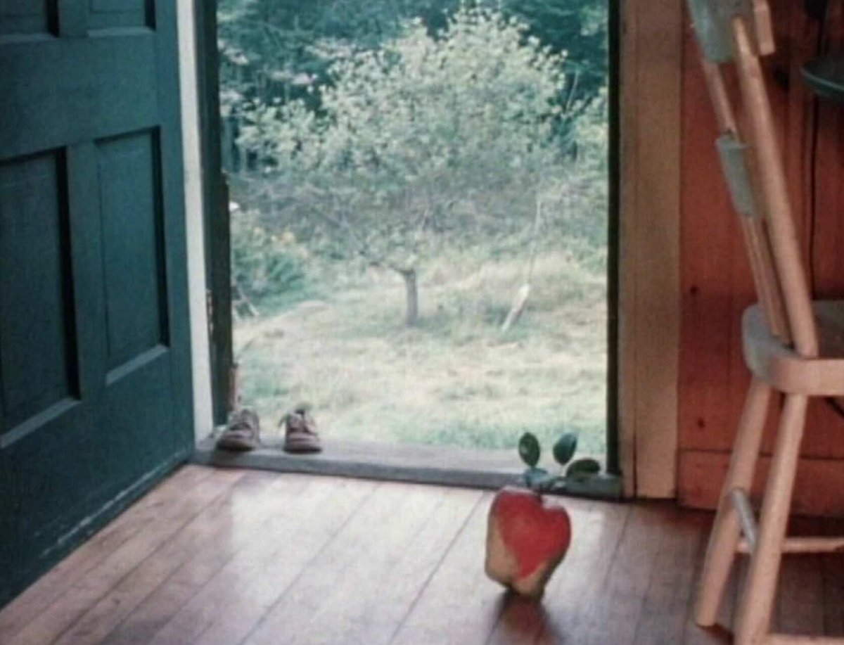 Lumière tweet media