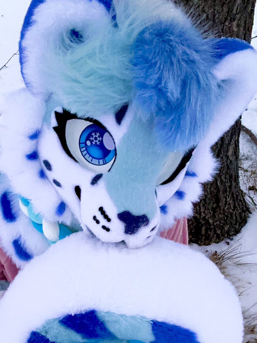 *homf* am i doing it right? i bite my fluffy tail  (●´ω｀●)