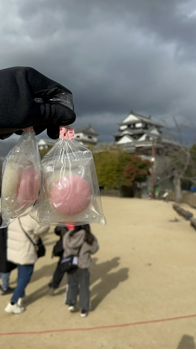 moriwaki46ryota's tweet image. 【正月トレーニング】

娘と2026年のトレーニングスタート🔥

東雲神社の階段ダッシュ。
松山城坂道ダッシュ。
松山市内一望。
#絶景 です。
松山城と正面衝突。
お餅ゲット。

2026年最高のスタートです😁

#愛媛
#ehime
#松山市
#トレーニング