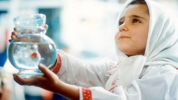 IFC Center tweet media