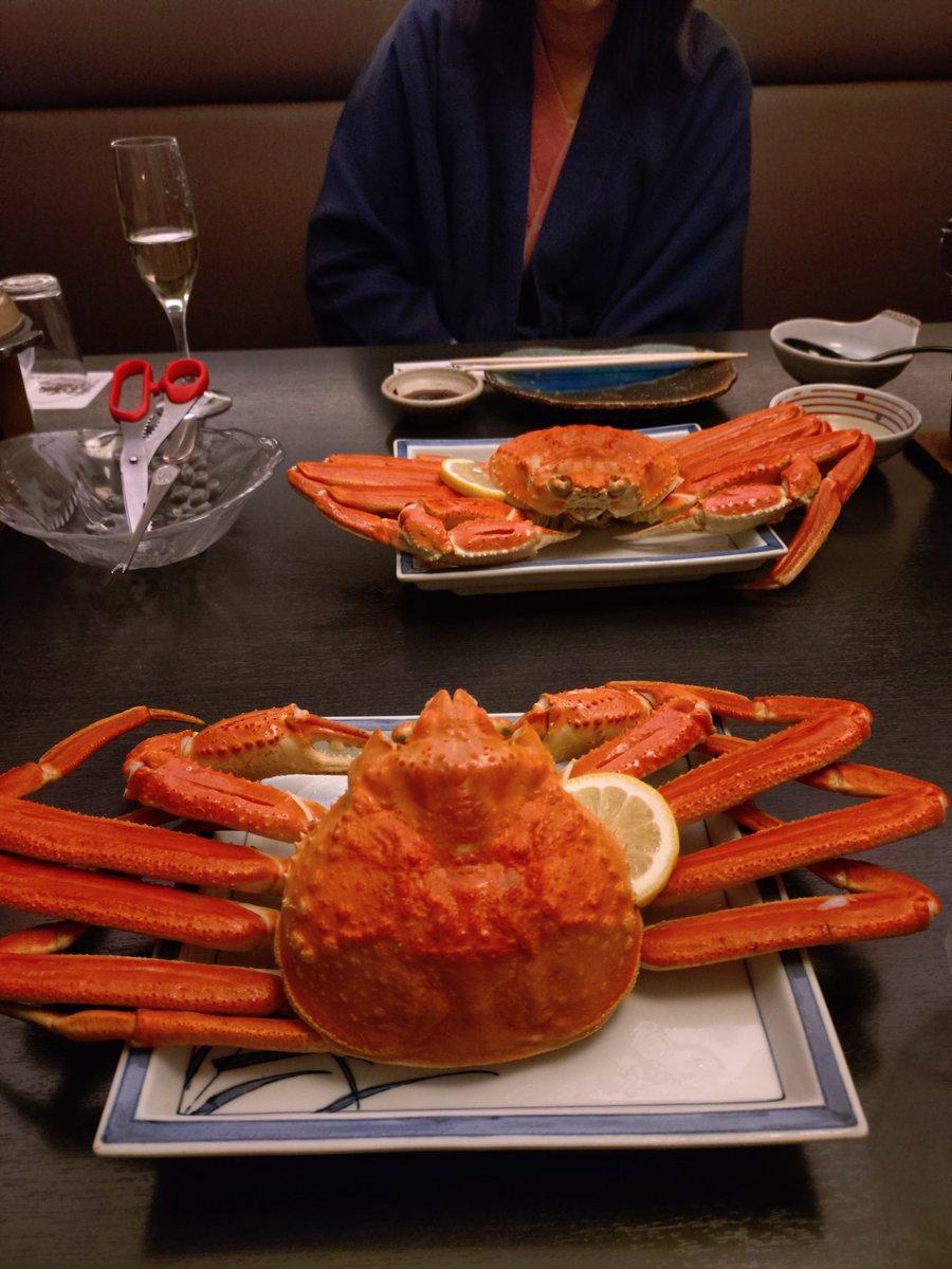 お嬢様の会 Community on X - 330 Members